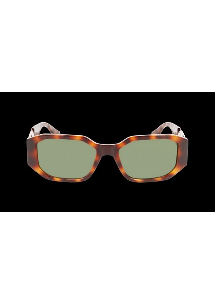6085S Tortoise 240 5518 Güneş Gözlüğü