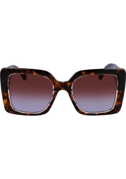 6126S D.tortoise 242 5220 Güneş Gözlüğü