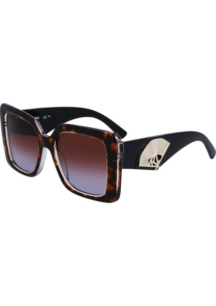 6126S D.tortoise 242 5220 Güneş Gözlüğü fiyatları