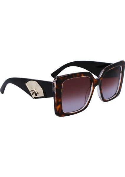6126S D.tortoise 242 5220 Güneş Gözlüğü modelleri