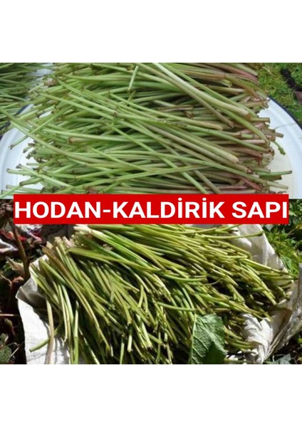 500 Gram Kaldirik-Hodan-Ispıt Otu Sapı