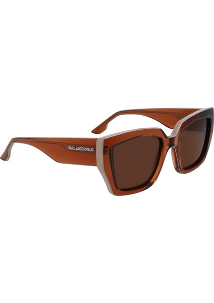 6143S L.brown 246 5320 Güneş Gözlüğü modelleri