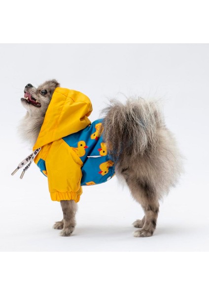 Pekin Polarlı Su Geçirmez Küçük Irk Köpek Yağmurluğu