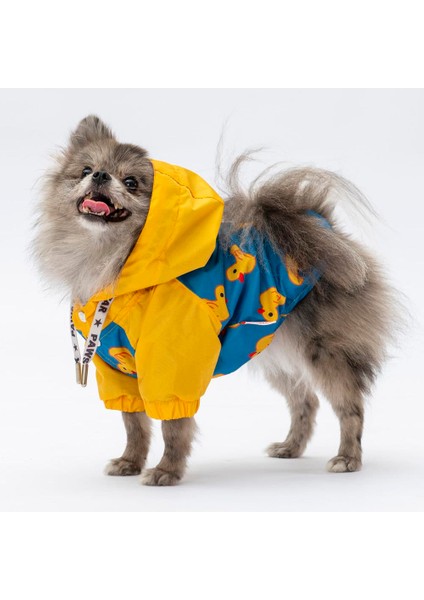 Pekin Polarlı Su Geçirmez Küçük Irk Köpek Yağmurluğu fiyatları