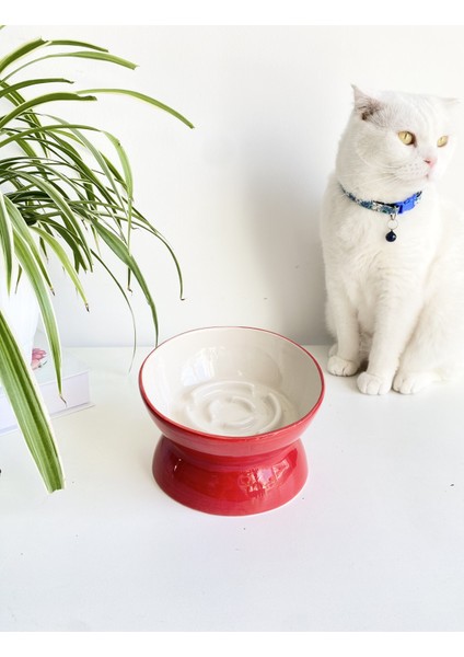 Seramik Yavaş Yeme Kedi Mama Kabı (Kırmızı)