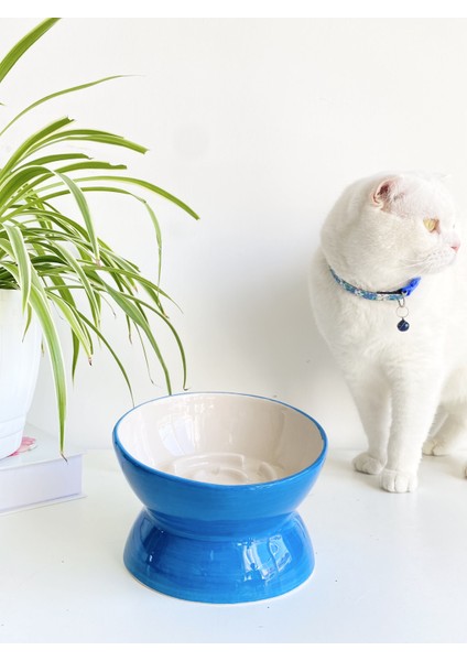 Seramik Yavaş Yeme Kedi Mama Kabı (Mavi)