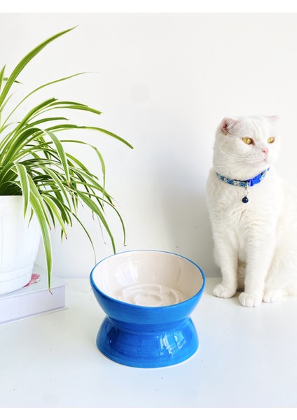 Seramik Yavaş Yeme Kedi Mama Kabı (Mavi) modelleri