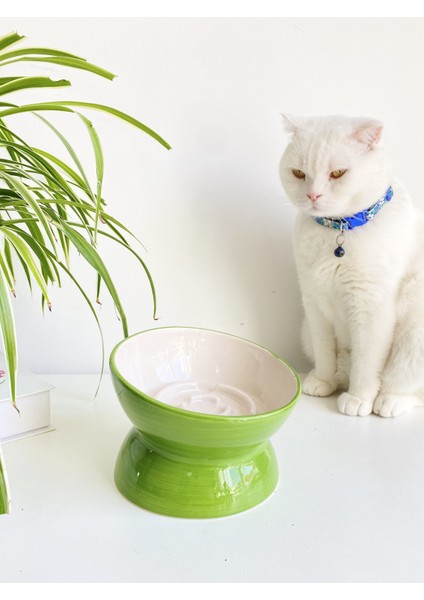 Seramik Yavaş Yeme Kedi Mama Kabı (Yeşil) modelleri