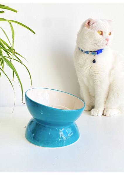 Seramik Yavaş Yeme Kedi Mama Kabı (Turkuaz)
