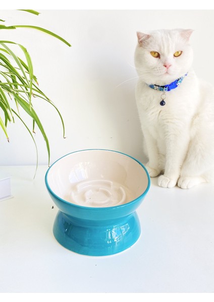 Seramik Yavaş Yeme Kedi Mama Kabı (Turkuaz)