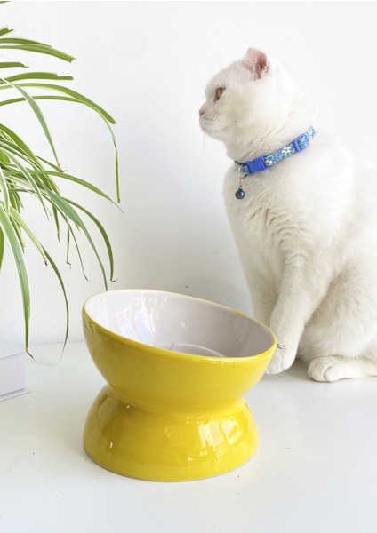 Seramik Yavaş Yeme Kedi Mama Kabı(Sarı)