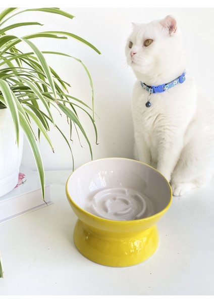 Seramik Yavaş Yeme Kedi Mama Kabı(Sarı)