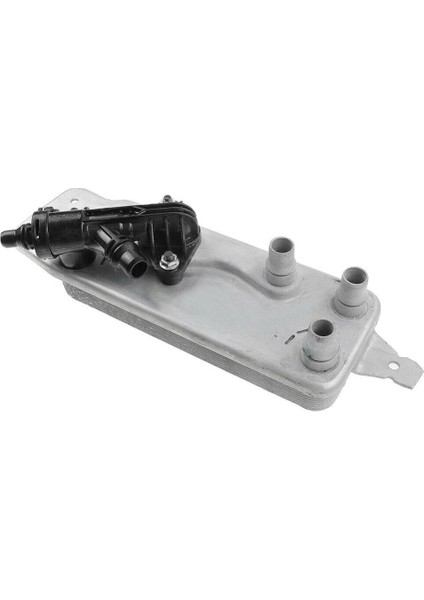 Sanzuman Yag Sogutucu Bmw F06-F07-F10-F11-F18-6F12-F13-F01-F02-F04 N55-N63 10-17 (Oem No: 17217638678)