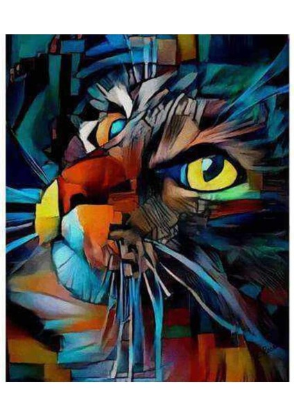 Kanvas kedinin Bakışı 2 Sayılarla Boyama Seti Kasnaklı 40 x 50 cm