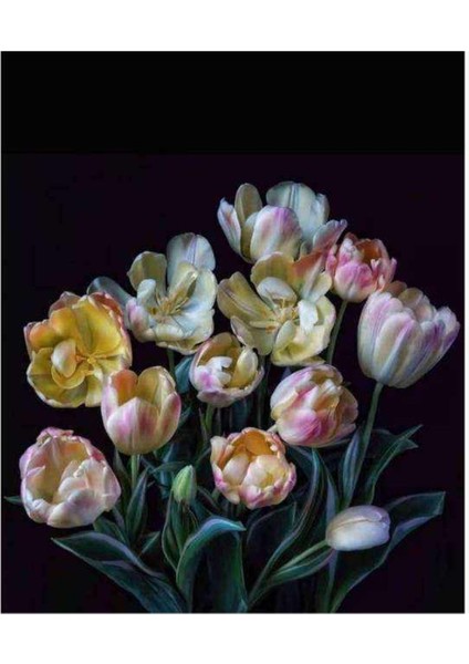 Kanvas yaşam Çiçeği Sayılarla Boyama Seti Kasnaklı 40 x 50 cm