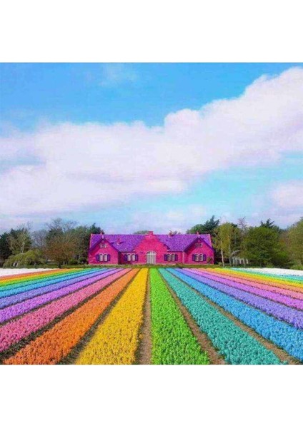 Kanvas gökkuşağı Bahçesi Sayılarla Boyama Seti Kasnaklı 90 x 110 cm