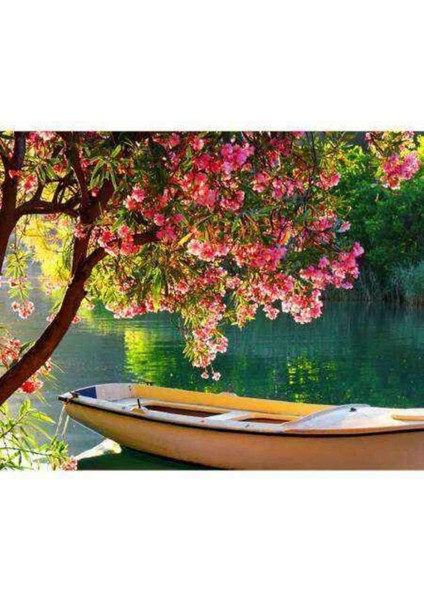 Kanvas göldeki Sandal Sayılarla Boyama Seti Kasnaklı 100 x 140 cm