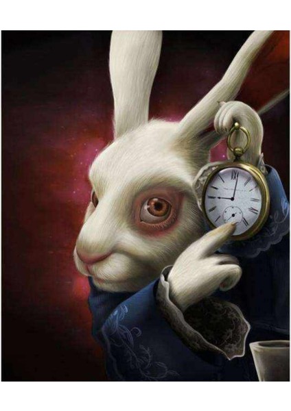 Kanvas harikalar Diyarı 2 Sayılarla Boyama Seti Kasnaklı 40 x 50 cm