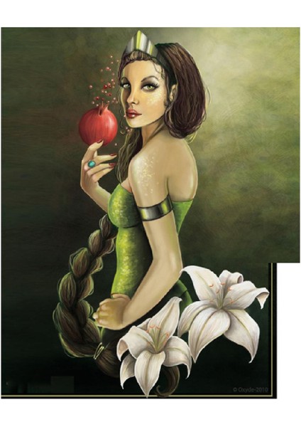 Kanvas nar Tanesi Sayılarla Boyama Seti Kasnaklı 100 x 140 cm