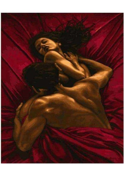 Kanvas kırmızı Aşk Sayılarla Boyama Seti Kasnaklı 60 x 75 cm