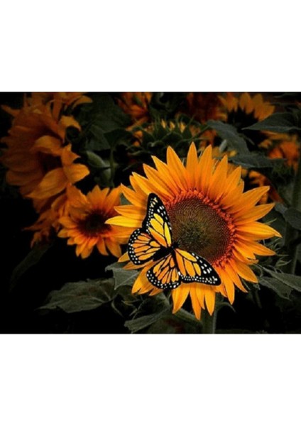 Kanvas kelebek ve Ayçiçek Sayılarla Boyama Seti Kasnaklı 70 x 90 cm