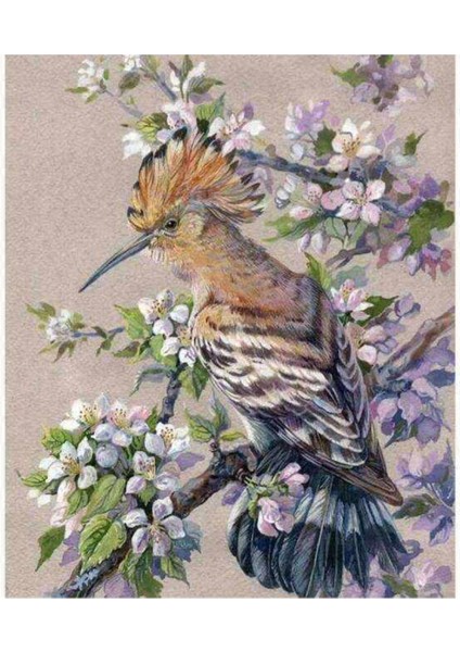 Kanvas bahar ve Kuş Sayılarla Boyama Seti Kasnaklı 60 x 75 cm