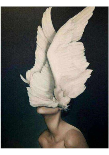 Kanvas özgür Ruhlu 2 Sayılarla Boyama Seti Kasnaklı 60 x 75 cm