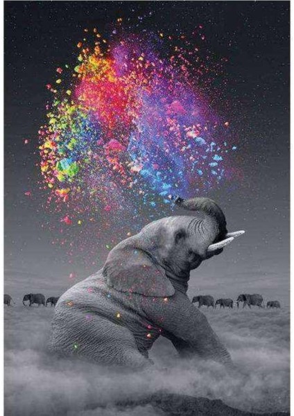 Kanvas renk Yağmuru ve Fil Sayılarla Boyama Seti Kasnaklı 70 x 90 cm