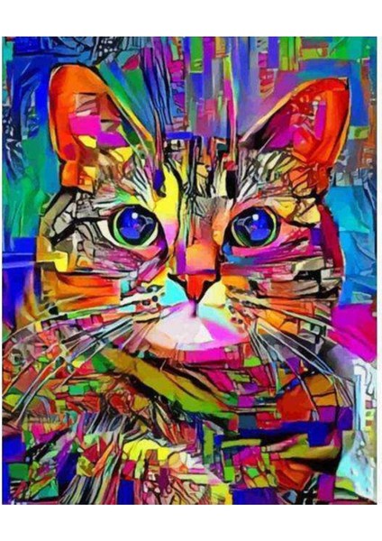 Kanvas renkli Kedi 2 Sayılarla Boyama Seti Kasnaklı 50 x 65 cm