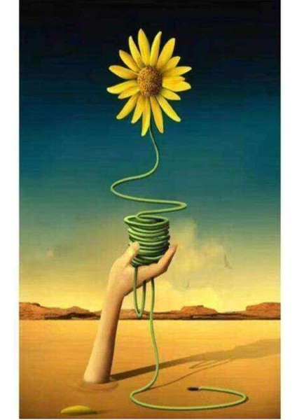 Kanvas arnika Sayılarla Boyama Seti Kasnaklı 90 x 110 cm