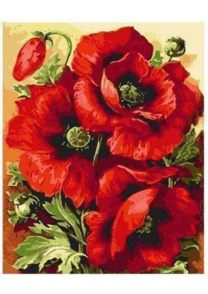 Kanvas gelincik Demeti Sayılarla Boyama Seti Kasnaklı 70 x 90 cm