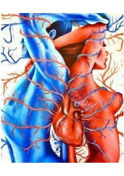 Kanvas derin Bağ Sayılarla Boyama Seti Kasnaklı 70 x 90 cm