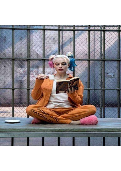 Kanvas quinn'in Bir Günü Sayılarla Boyama Seti Kasnaklı 50 x 65 cm