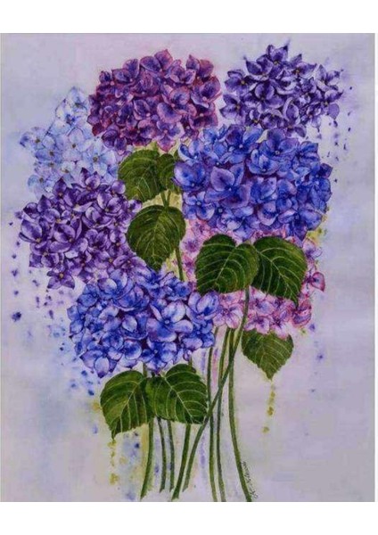 Kanvas güzel Ortanca 3 Sayılarla Boyama Seti Kasnaklı 70 x 90 cm