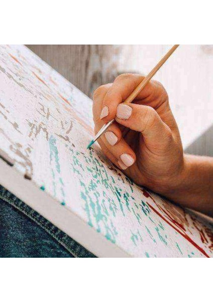 Kanvas renkler ve Düşünce Sayılarla Boyama Seti Kasnaklı 50 x 65 cm