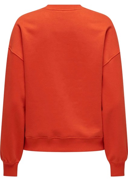 Onlsofıa L/s Word O-Neck Kadın Sweatshırt fiyatları