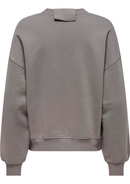 Onlsofıa L/s Word O-Neck Kadın Sweatshırt fiyatları