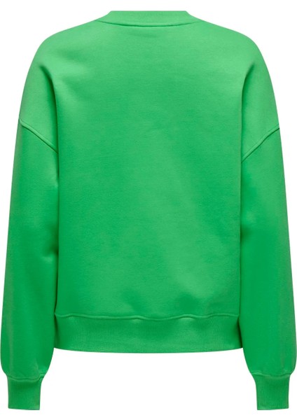 Onlsofıa L/s Word O-Neck Kadın Sweatshırt fiyatları