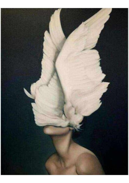 Kanvas özgür Ruhlu 2 Sayılarla Boyama Seti Kasnaklı 90 x 110 cm