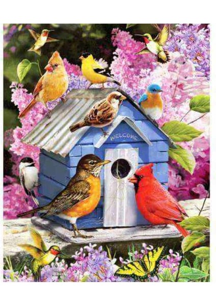 Kanvas kuşların Evi Sayılarla Boyama Seti Kasnaklı 90 x 110 cm