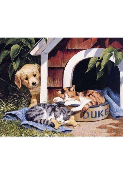 Kanvas sevimli Dostlar Boyama Seti Kasnaklı 60 x 75 cm