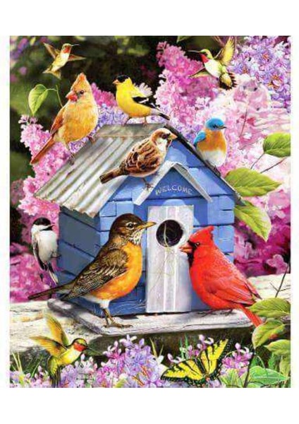 Kanvas kuşların Evi Sayılarla Boyama Seti Kasnaklı 70 x 90 cm