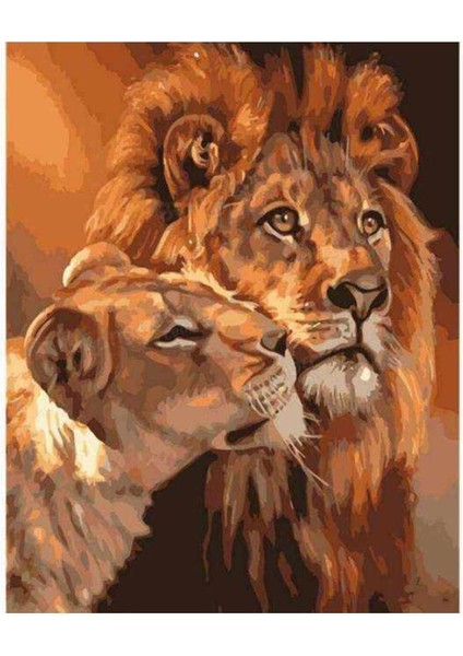 Kanvas aslanların Aşkı Sayılarla Boyama Seti Kasnaklı 100 x 140 cm