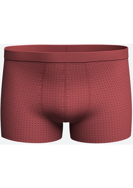 Standart Kalıp Pamuklu Esnek Erkek Boxer 3'lü