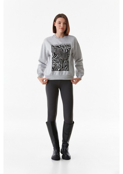 Zebra Baskılı Bisiklet Yaka Sweatshirt fiyatları