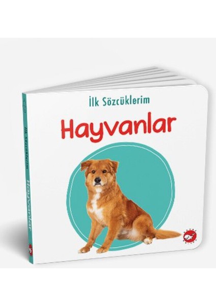 TSM Store Ilk Sözcüklerim - Evcil Hayvanlar