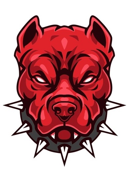 13 X 11 Cm Pitbull Sticker Motor Araba Kask Laptop Pc Etiket