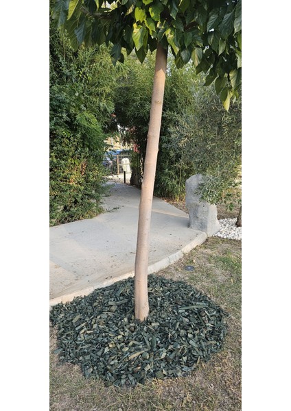 Dekoratif Yeşil Renkli Ahşap Malç 40 Litre 2-5 cm Renkli Ağaç Kabuğu Renkli Ağaç Yongası Bahçe Dekor Peyzaj Color Mulch