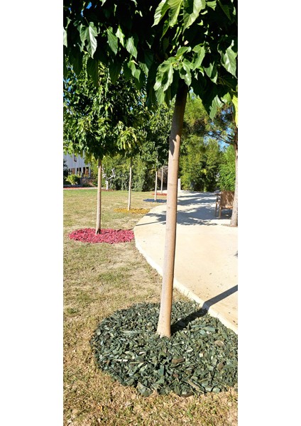 Dekoratif Yeşil Renkli Ahşap Malç 40 Litre 2-5 cm Renkli Ağaç Kabuğu Renkli Ağaç Yongası Bahçe Dekor Peyzaj Color Mulch