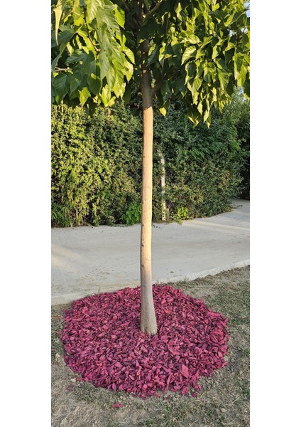 Dekoratif Pembe Renkli Ahşap Malç 40 Litre 2-5 cm Renkli Ağaç Kabuğu Renkli Ağaç Yongası Bahçe Dekor Peyzaj Color Mulch